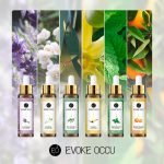 Eucalyptus Tea Tree  Essential Oils 10ML with Dropper Diffuser Aroma Oil Lavender Jasmine Sandalwood Bergamot Rose Vanilla Oil